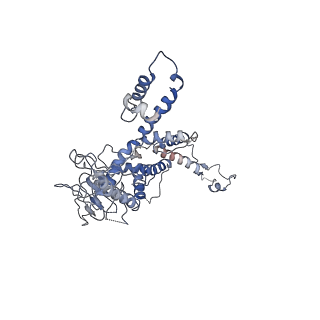 30138_7bp0_f_v1-0
Packing Bacteriophage T7 portal protein GP8