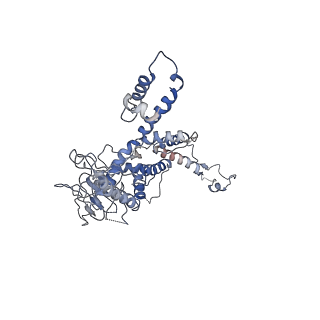 30138_7bp0_f_v1-1
Packing Bacteriophage T7 portal protein GP8