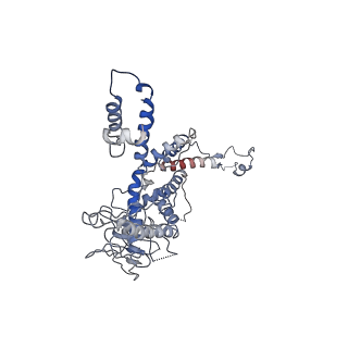 30138_7bp0_g_v1-0
Packing Bacteriophage T7 portal protein GP8