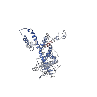 30138_7bp0_h_v1-0
Packing Bacteriophage T7 portal protein GP8
