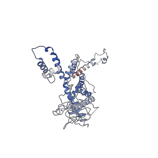 30138_7bp0_h_v1-1
Packing Bacteriophage T7 portal protein GP8