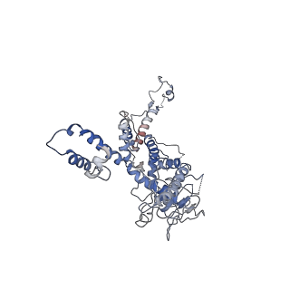 30138_7bp0_i_v1-1
Packing Bacteriophage T7 portal protein GP8