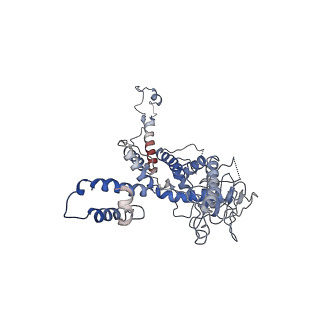 30138_7bp0_j_v1-0
Packing Bacteriophage T7 portal protein GP8