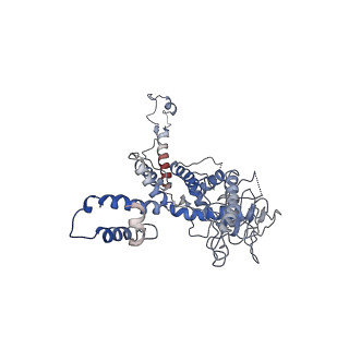 30138_7bp0_j_v1-1
Packing Bacteriophage T7 portal protein GP8