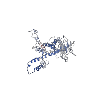 30138_7bp0_k_v1-0
Packing Bacteriophage T7 portal protein GP8
