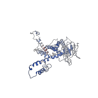 30138_7bp0_k_v1-1
Packing Bacteriophage T7 portal protein GP8