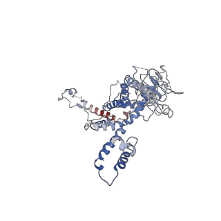 30138_7bp0_l_v1-0
Packing Bacteriophage T7 portal protein GP8