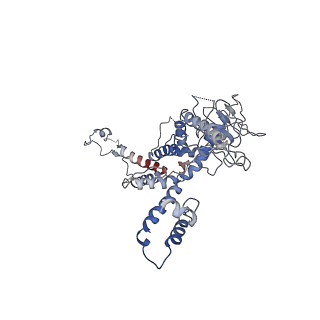 30138_7bp0_l_v1-1
Packing Bacteriophage T7 portal protein GP8