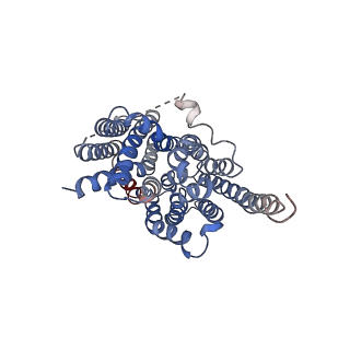 30143_7bp3_A_v1-0
Cryo-EM structure of the human MCT2