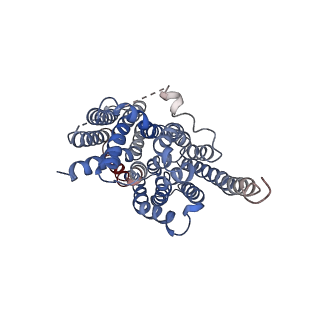30143_7bp3_A_v1-1
Cryo-EM structure of the human MCT2