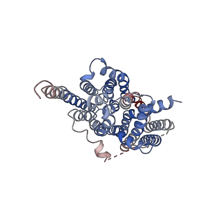 30143_7bp3_B_v1-0
Cryo-EM structure of the human MCT2