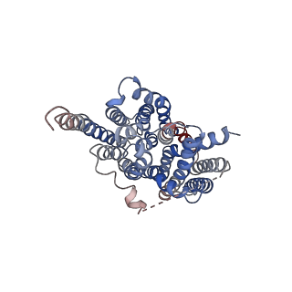 30143_7bp3_B_v1-1
Cryo-EM structure of the human MCT2