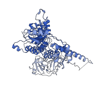 30147_7bp8_A_v1-1
Human AAA+ ATPase VCP mutant - T76A, ADP-bound form
