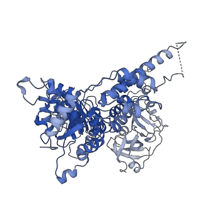 30147_7bp8_B_v1-1
Human AAA+ ATPase VCP mutant - T76A, ADP-bound form