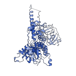 30147_7bp8_C_v1-1
Human AAA+ ATPase VCP mutant - T76A, ADP-bound form