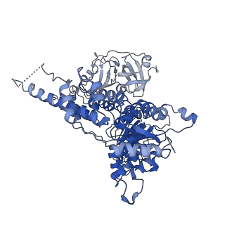 30147_7bp8_D_v1-1
Human AAA+ ATPase VCP mutant - T76A, ADP-bound form