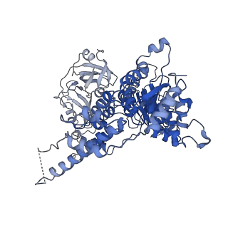 30147_7bp8_E_v1-1
Human AAA+ ATPase VCP mutant - T76A, ADP-bound form
