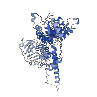 30147_7bp8_F_v1-1
Human AAA+ ATPase VCP mutant - T76A, ADP-bound form
