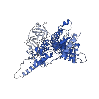 30148_7bp9_A_v1-1
Human AAA+ ATPase VCP mutant - T76E, ADP-bound form