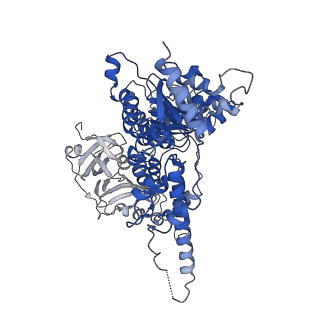 30148_7bp9_B_v1-1
Human AAA+ ATPase VCP mutant - T76E, ADP-bound form