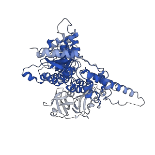 30148_7bp9_C_v1-1
Human AAA+ ATPase VCP mutant - T76E, ADP-bound form