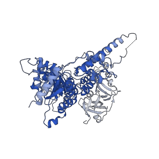 30148_7bp9_D_v1-1
Human AAA+ ATPase VCP mutant - T76E, ADP-bound form