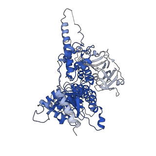 30148_7bp9_E_v1-1
Human AAA+ ATPase VCP mutant - T76E, ADP-bound form