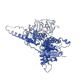 30148_7bp9_F_v1-1
Human AAA+ ATPase VCP mutant - T76E, ADP-bound form