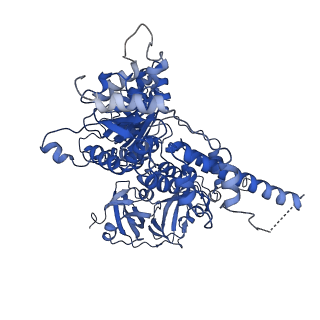 30149_7bpa_A_v1-1
Human AAA+ ATPase VCP mutant - T76A, AMP-PNP-bound form, Conformation I