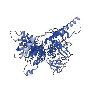 30149_7bpa_B_v1-1
Human AAA+ ATPase VCP mutant - T76A, AMP-PNP-bound form, Conformation I