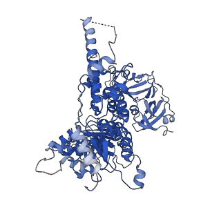30149_7bpa_C_v1-1
Human AAA+ ATPase VCP mutant - T76A, AMP-PNP-bound form, Conformation I