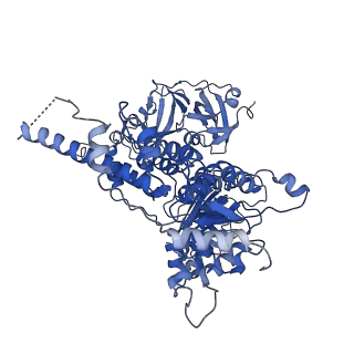 30149_7bpa_D_v1-1
Human AAA+ ATPase VCP mutant - T76A, AMP-PNP-bound form, Conformation I