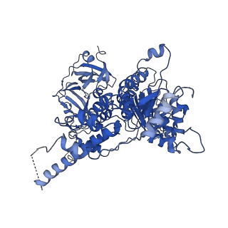 30149_7bpa_E_v1-1
Human AAA+ ATPase VCP mutant - T76A, AMP-PNP-bound form, Conformation I