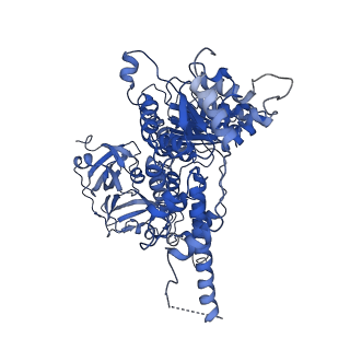 30149_7bpa_F_v1-1
Human AAA+ ATPase VCP mutant - T76A, AMP-PNP-bound form, Conformation I