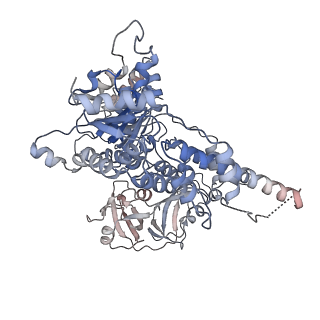 30150_7bpb_A_v1-1
Human AAA+ ATPase VCP mutant - T76E, AMP-PNP bound form, Conformation I