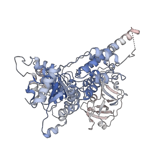 30150_7bpb_B_v1-1
Human AAA+ ATPase VCP mutant - T76E, AMP-PNP bound form, Conformation I