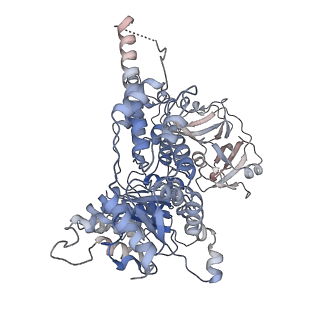 30150_7bpb_C_v1-1
Human AAA+ ATPase VCP mutant - T76E, AMP-PNP bound form, Conformation I