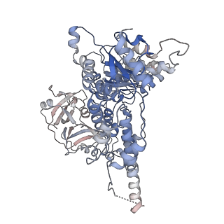30150_7bpb_F_v1-1
Human AAA+ ATPase VCP mutant - T76E, AMP-PNP bound form, Conformation I
