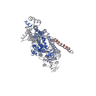 7127_6bpq_C_v1-4
Structure of the cold- and menthol-sensing ion channel TRPM8