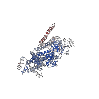 7127_6bpq_D_v1-3
Structure of the cold- and menthol-sensing ion channel TRPM8