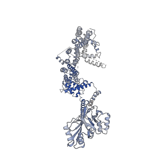 7128_6bpz_C_v1-5
Structure of the mechanically activated ion channel Piezo1