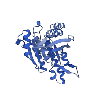 16170_8bq2_A_v1-1
CryoEM structure of the pre-synaptic RAD51 nucleoprotein filament in the presence of ATP and Ca2+