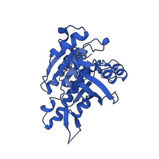 16170_8bq2_B_v1-1
CryoEM structure of the pre-synaptic RAD51 nucleoprotein filament in the presence of ATP and Ca2+