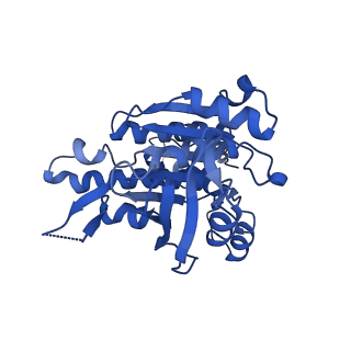 16170_8bq2_C_v1-1
CryoEM structure of the pre-synaptic RAD51 nucleoprotein filament in the presence of ATP and Ca2+