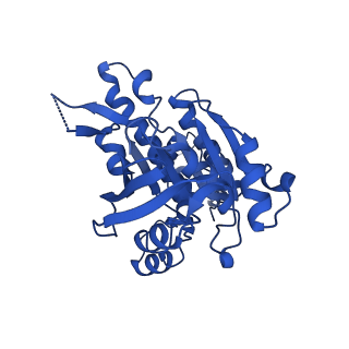 16170_8bq2_D_v1-1
CryoEM structure of the pre-synaptic RAD51 nucleoprotein filament in the presence of ATP and Ca2+