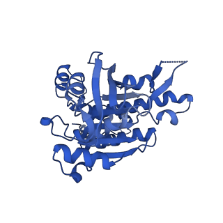 16170_8bq2_F_v1-1
CryoEM structure of the pre-synaptic RAD51 nucleoprotein filament in the presence of ATP and Ca2+