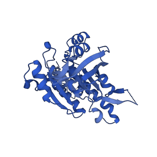 16170_8bq2_G_v1-1
CryoEM structure of the pre-synaptic RAD51 nucleoprotein filament in the presence of ATP and Ca2+