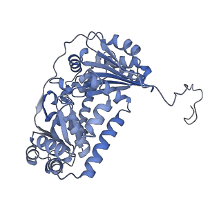 16171_8bq5_AA_v1-0
Cryo-EM structure of the Arabidopsis thaliana I+III2 supercomplex (Complete conformation 1 composition)