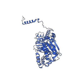 16171_8bq5_AB_v1-0
Cryo-EM structure of the Arabidopsis thaliana I+III2 supercomplex (Complete conformation 1 composition)