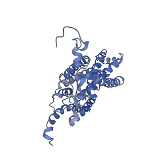 16171_8bq5_AC_v1-0
Cryo-EM structure of the Arabidopsis thaliana I+III2 supercomplex (Complete conformation 1 composition)